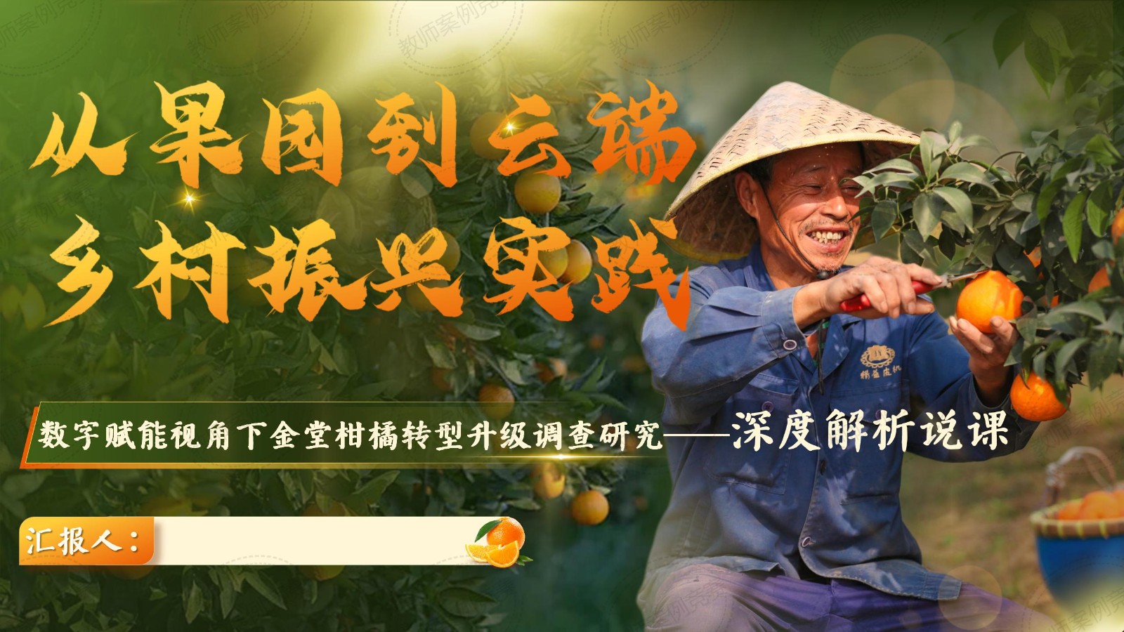 从果园到云端的乡村振兴实践——数字赋能视角下金堂柑橘转型升级调查研究